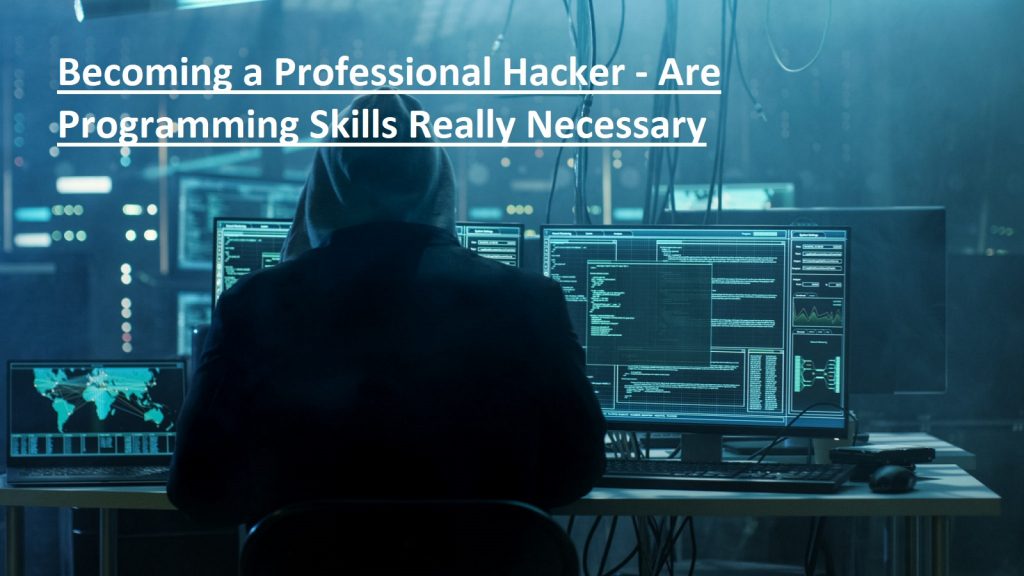 Becoming a Professional Hacker - Are Programming Skills Really Necessary